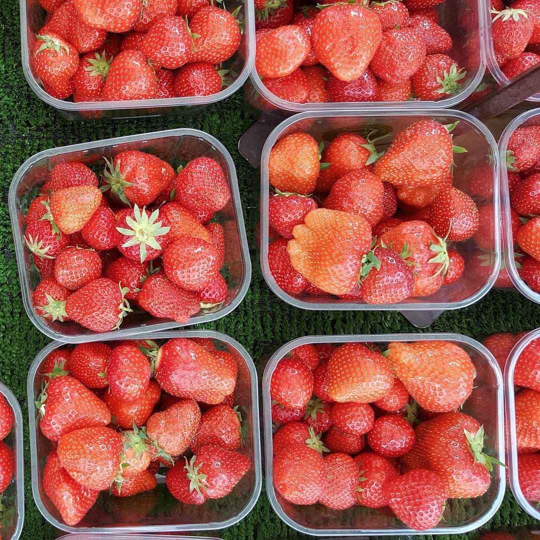 Fresh Strawberries Box